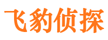 吉安出轨调查